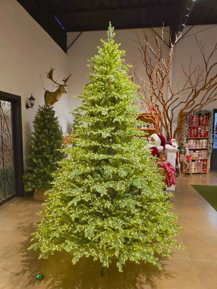 Árvores de Natal